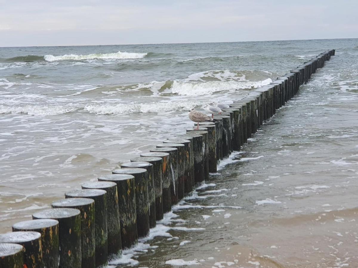 Baltic Cliff Apartamenty Niechorze Bagian luar foto